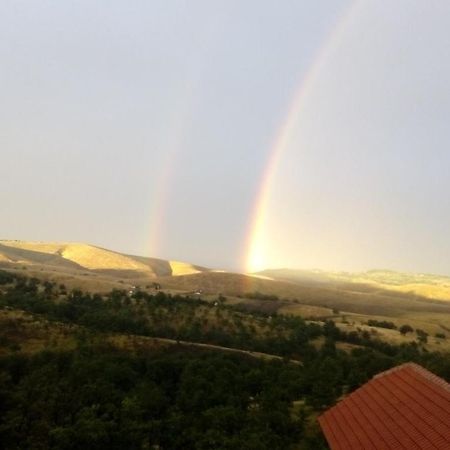 Vila Bliznakinja B Zlatibor Buitenkant foto