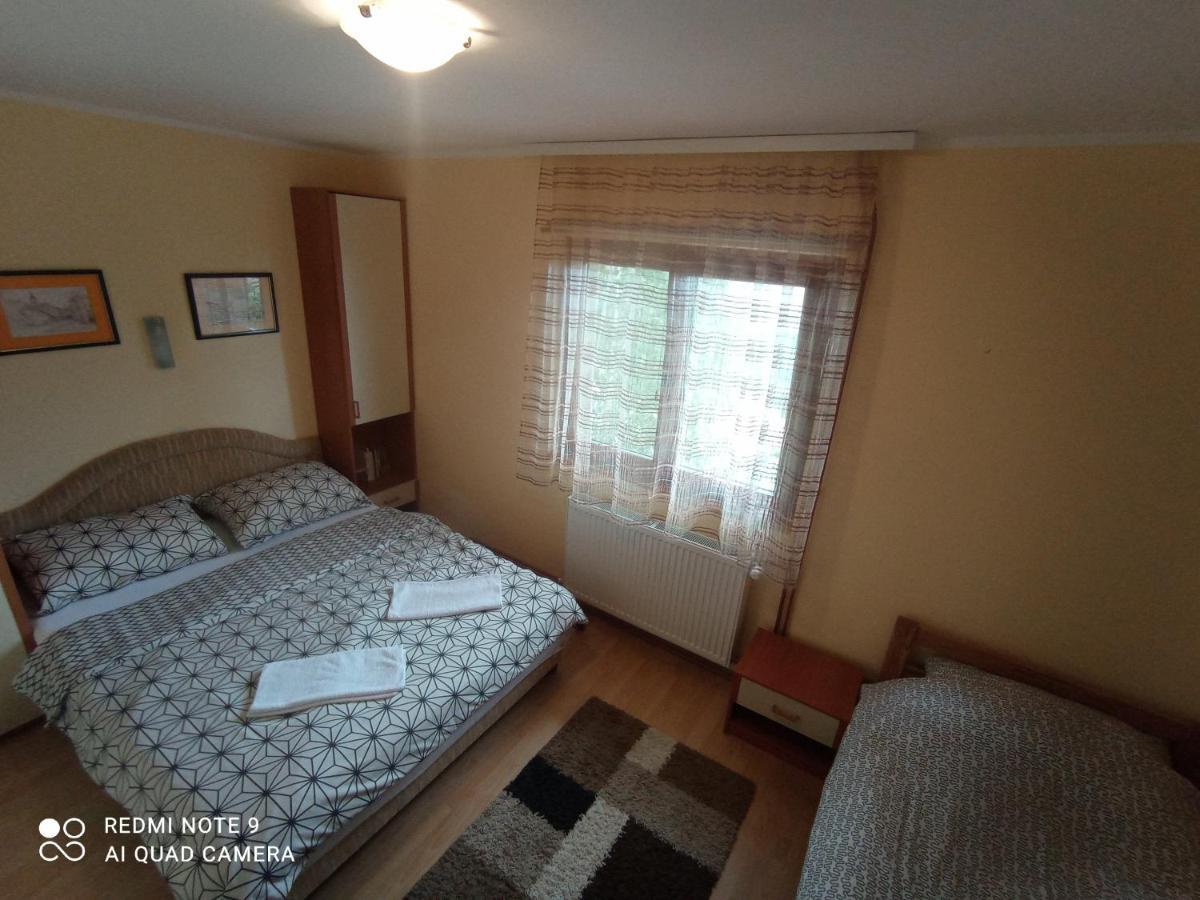 Vila Bliznakinja B Zlatibor Buitenkant foto